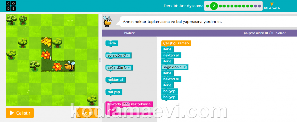 3.Kurs Ders14 (Arı Ayıklama) Kodlama Evi